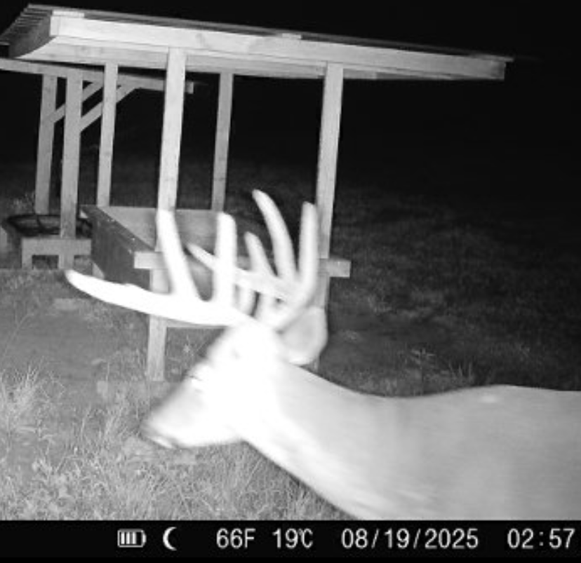 Hoxie Farm Photo
