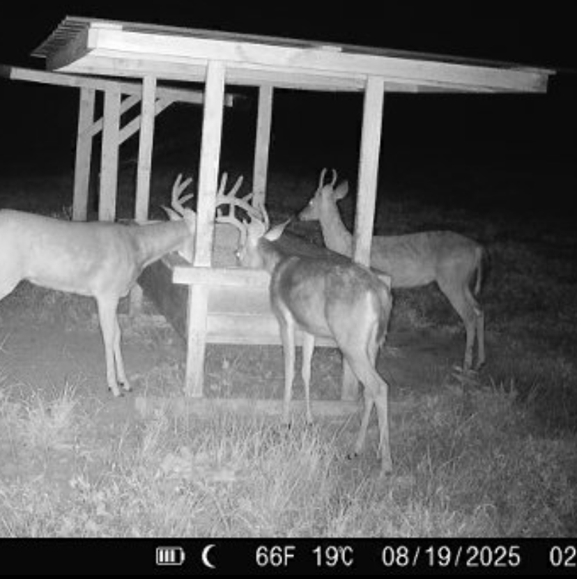 Hoxie Farm Photo