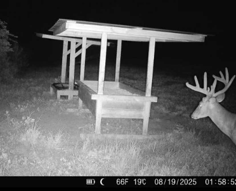 Hoxie Farm Photo