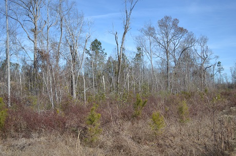 Stuckey Lane North