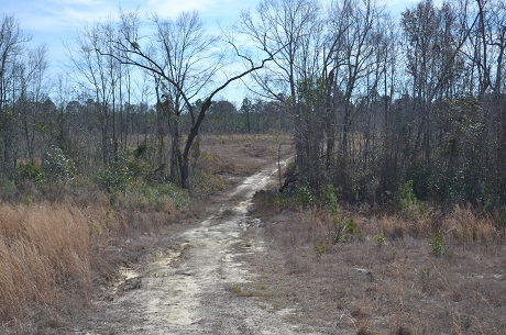 Stuckey Lane South