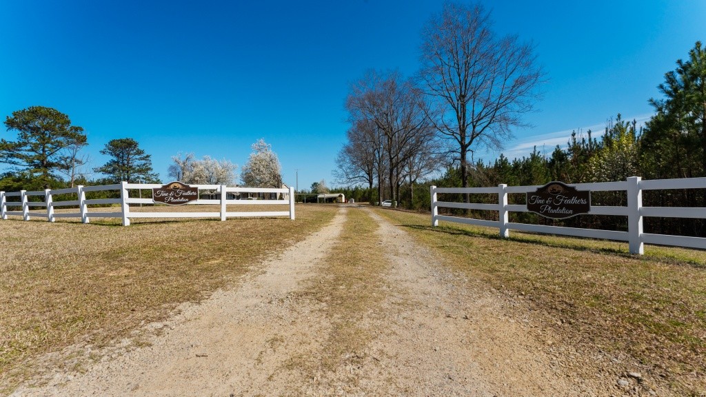 T&F Plantation Photo