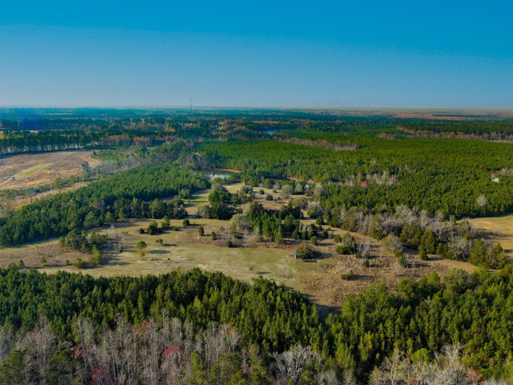 Seminole Winds Plantation Photo