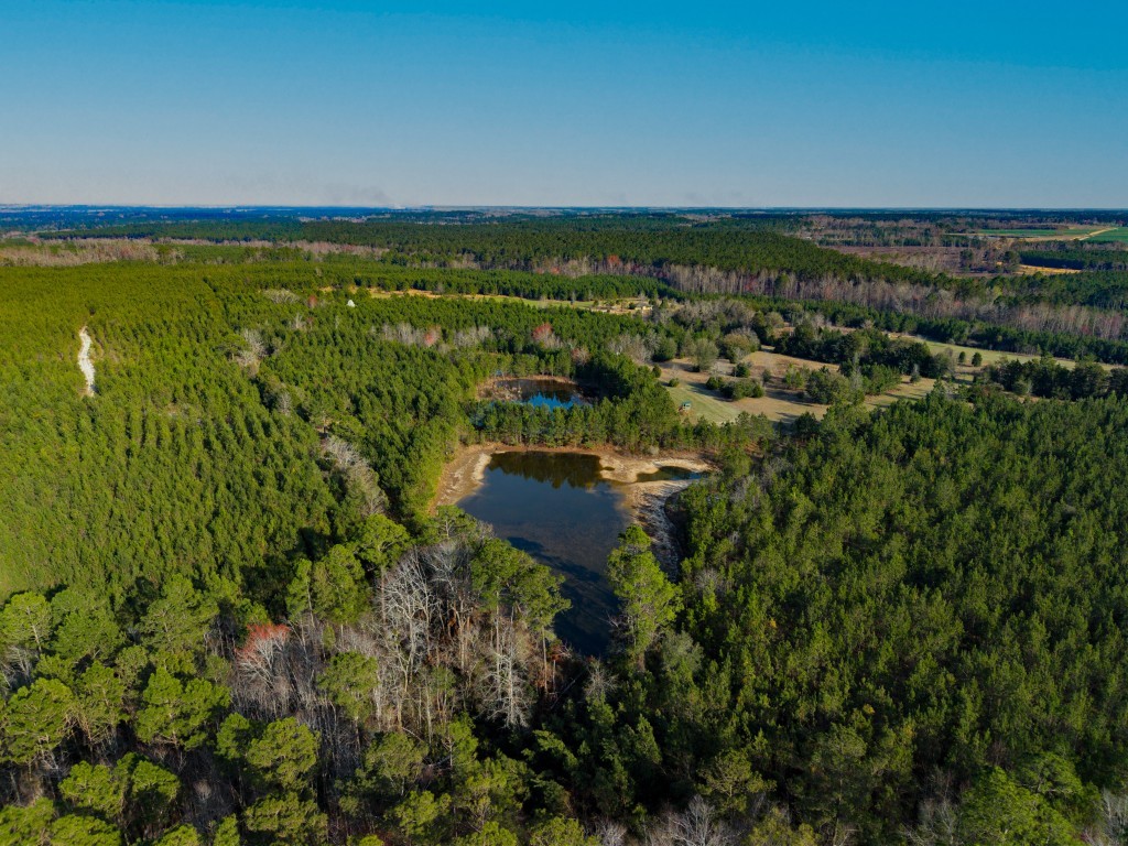 Seminole Winds Plantation Photo