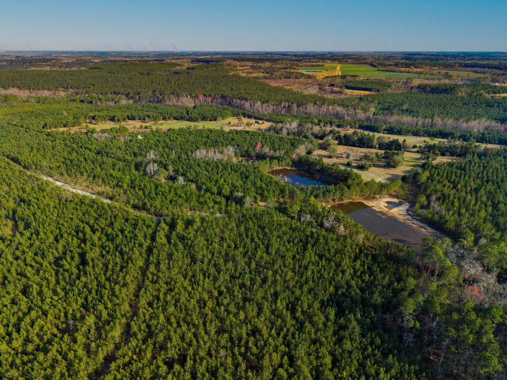 Seminole Winds Plantation Photo