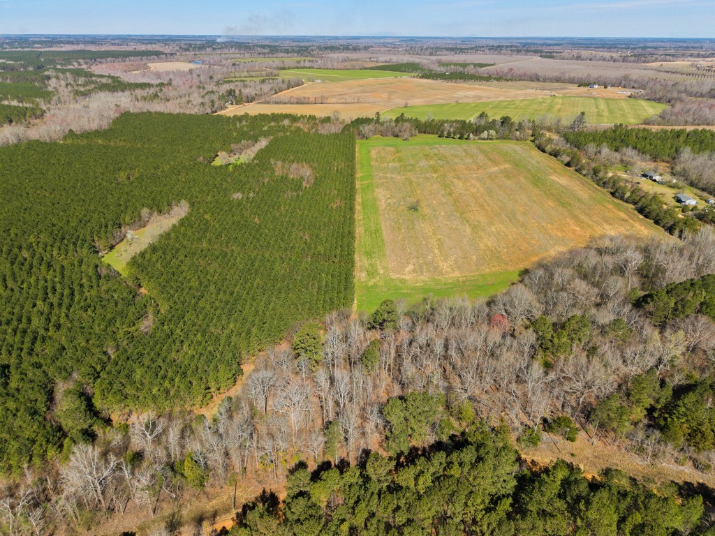 T&F Plantation Photo