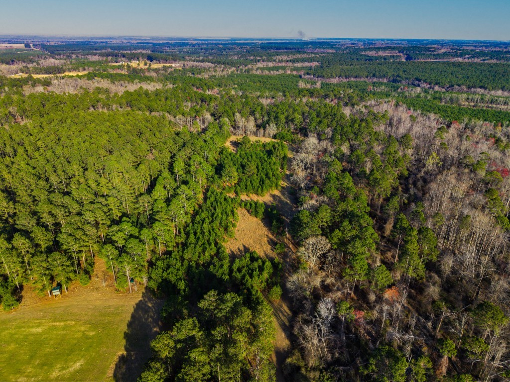 Seminole Winds Plantation Photo