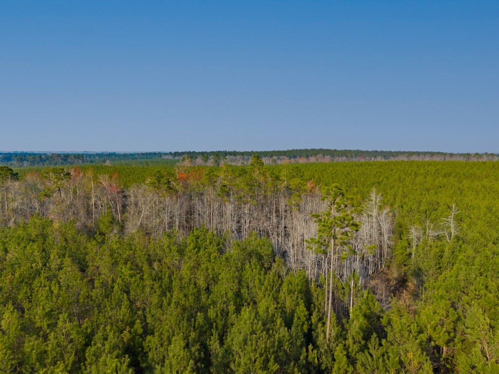 Seminole Winds Plantation Photo