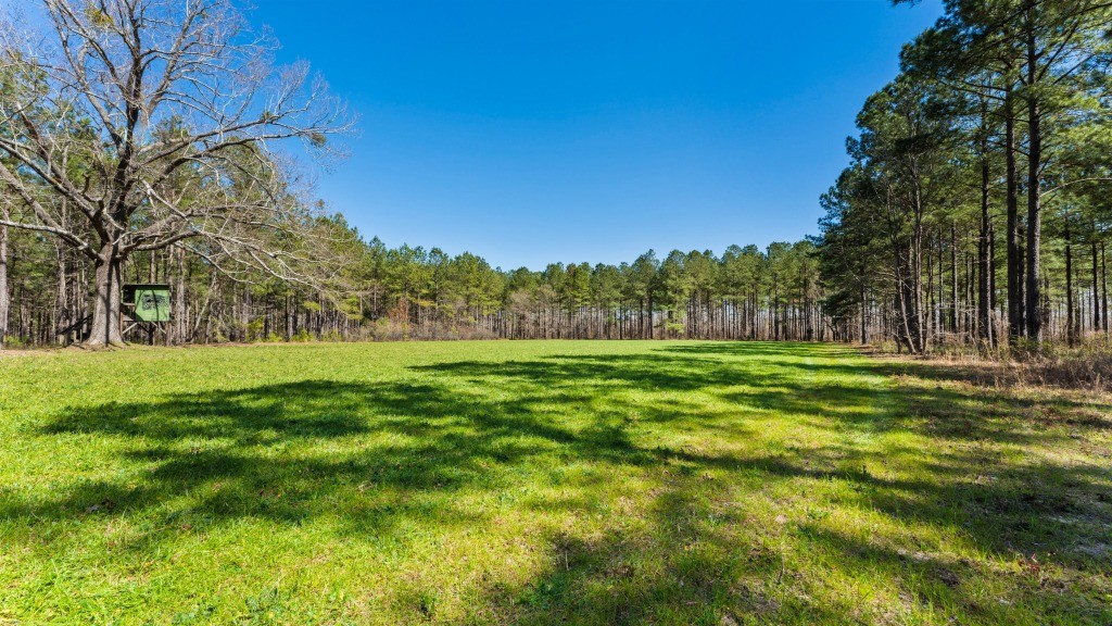 T&F Plantation Photo