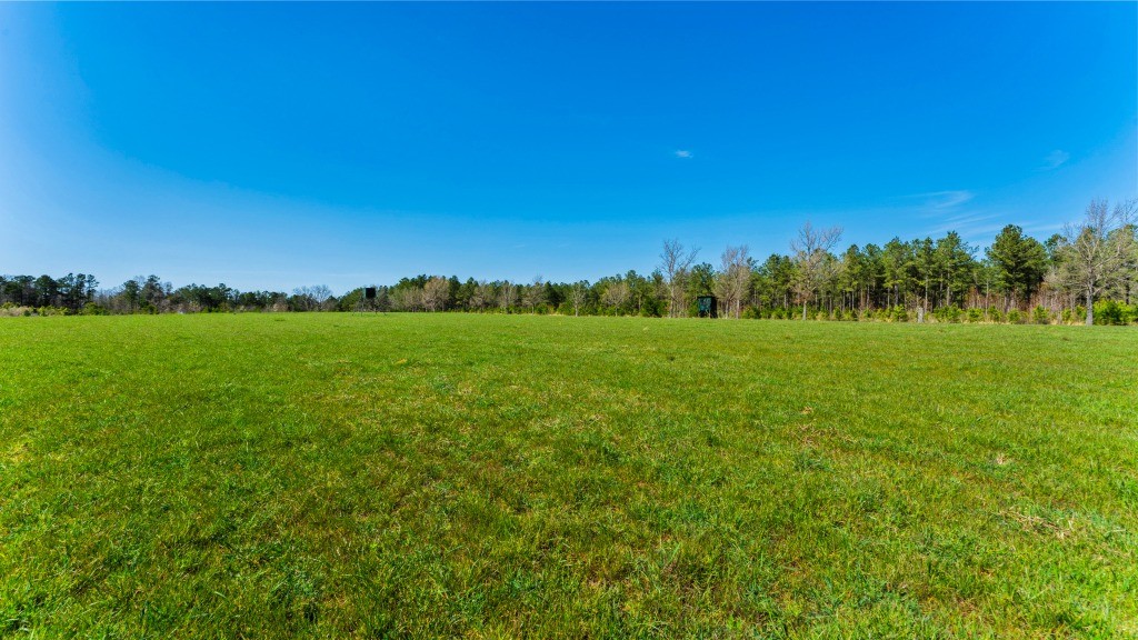 T&F Plantation Photo