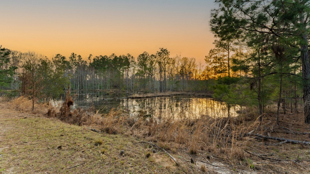 Seminole Winds Plantation Photo