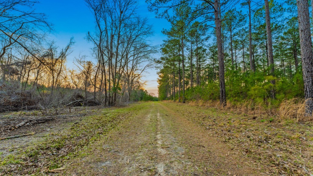 Seminole Winds Plantation Photo