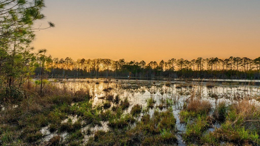 Seminole Winds Plantation Photo