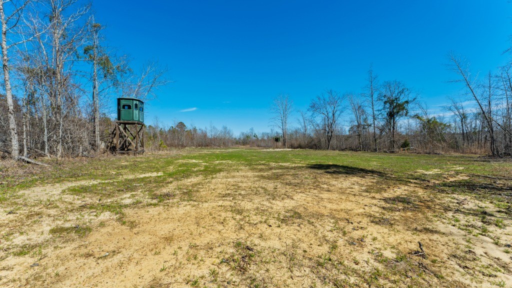 T&F Plantation Photo