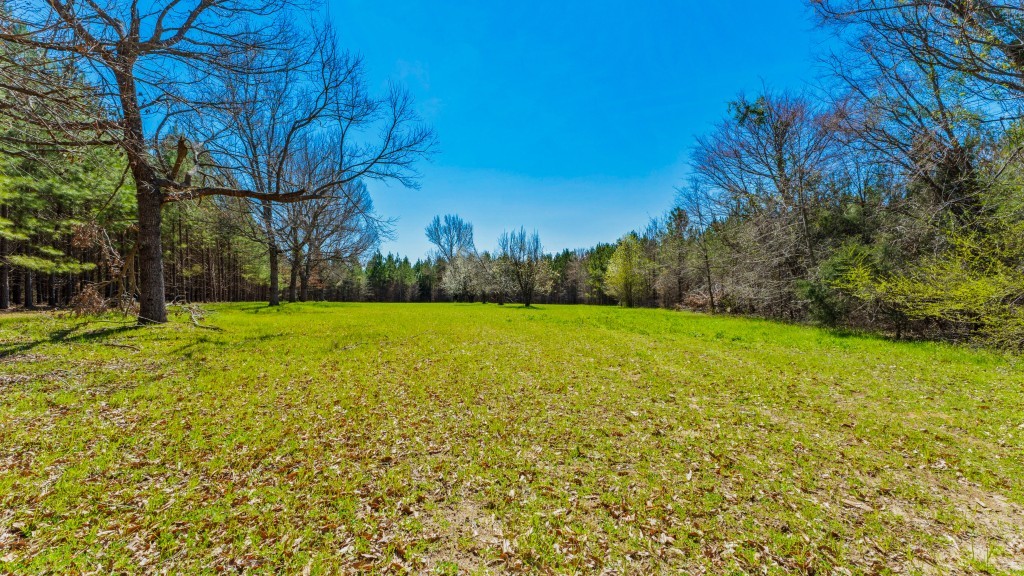 T&F Plantation Photo