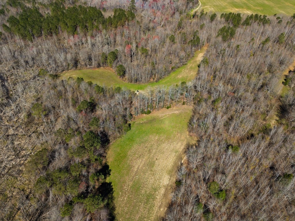 T&F Plantation Photo