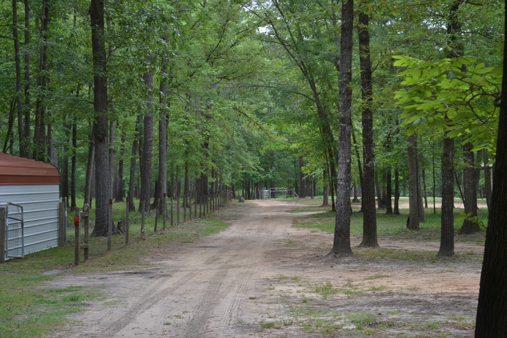 Tenmile Farm Photo