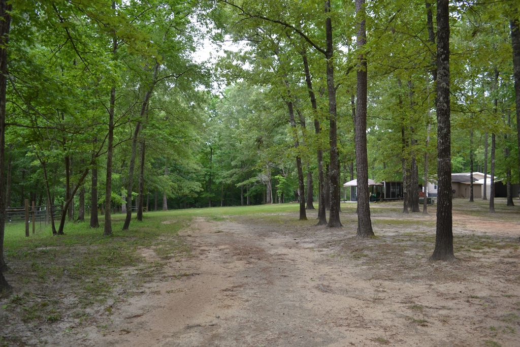 Tenmile Farm Photo