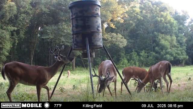 Flint Branch Tract Photo