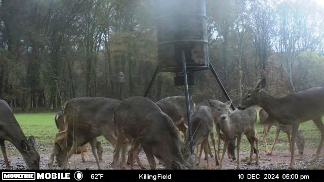 Flint Branch Tract Photo