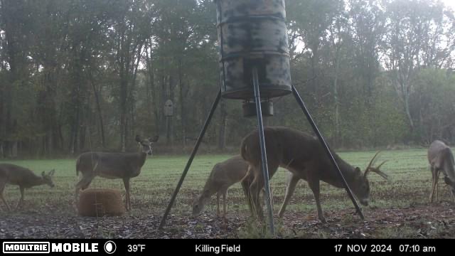Flint Branch Tract Photo