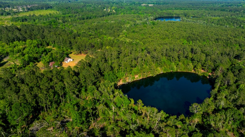 Four Ponds Retreat Photo