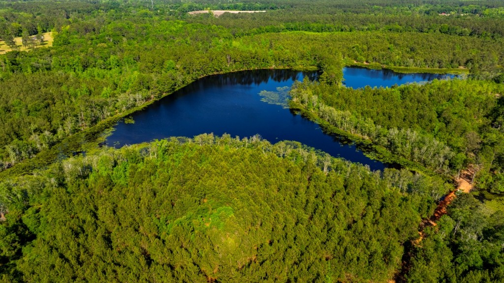 Four Ponds Retreat Photo