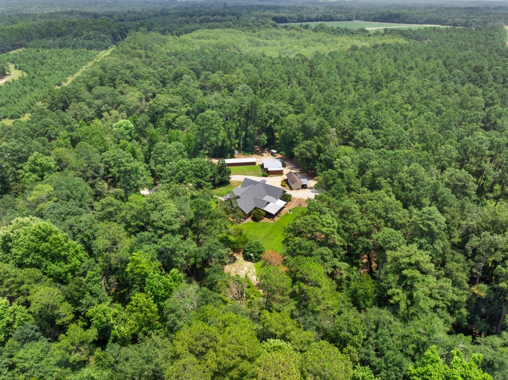 Major League Homeplace Photo