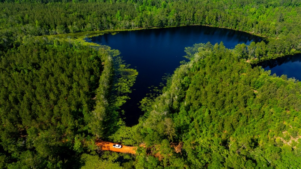 Four Ponds Retreat Photo