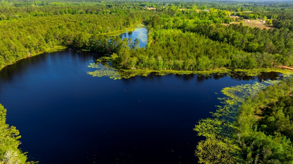 Four Ponds Retreat Photo