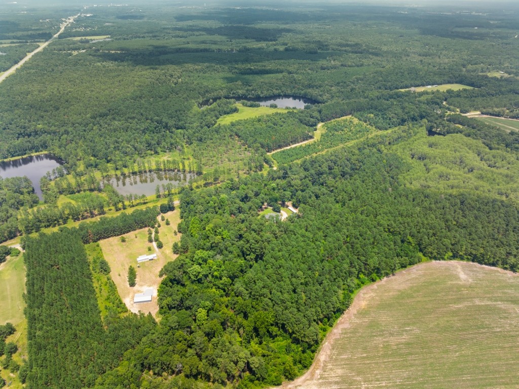 Major League Homeplace Photo