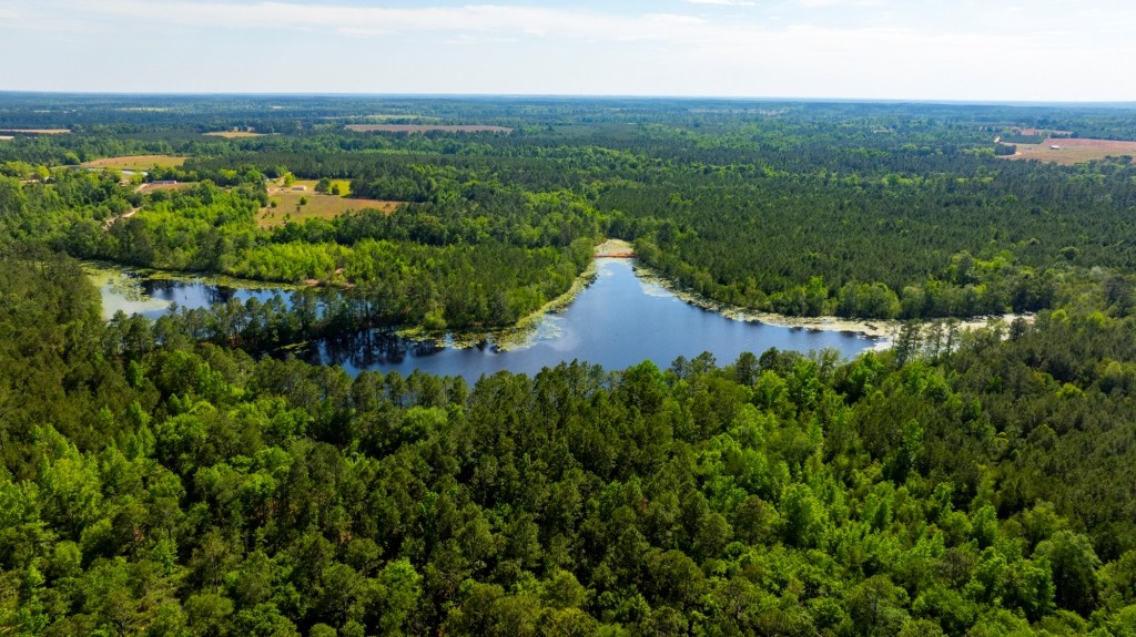 Four Ponds Retreat Photo