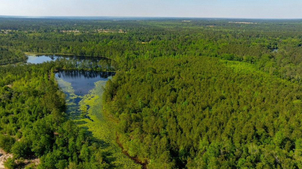 Four Ponds Retreat Photo