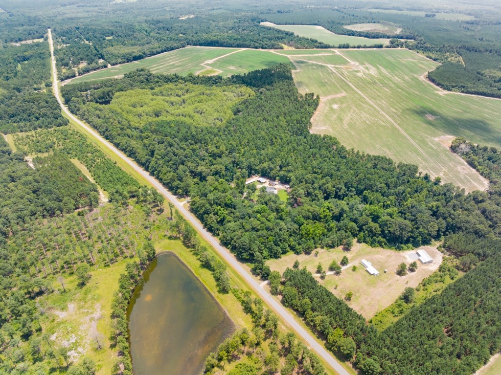 Major League Homeplace Photo