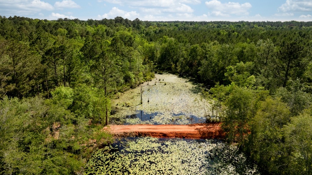 Four Ponds Retreat Photo