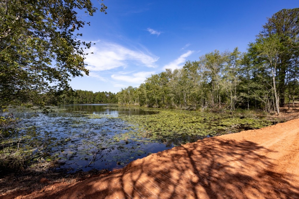 Four Ponds Retreat Photo