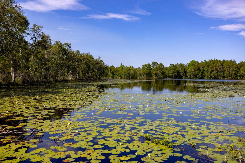 Four Ponds Retreat Photo
