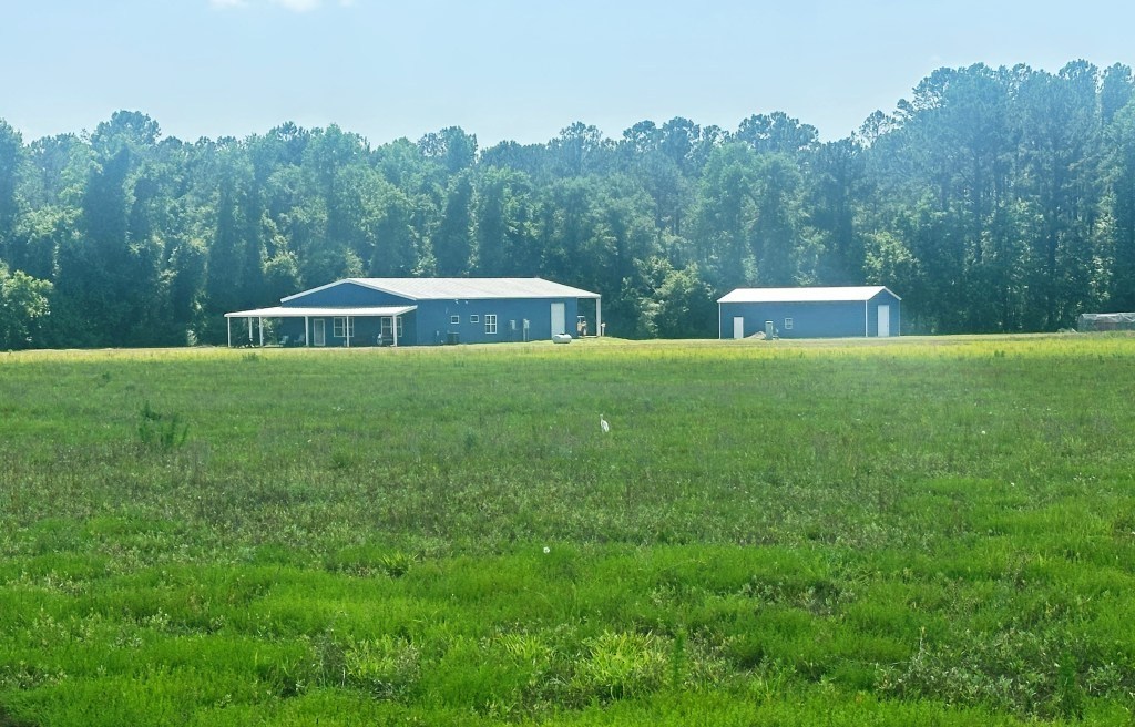 Cleary Road Photo