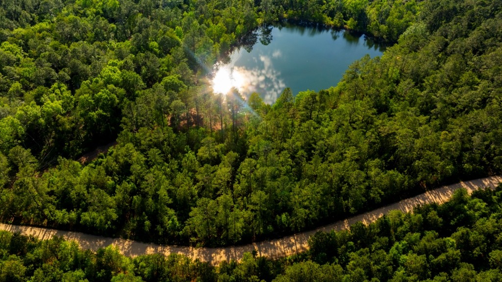 Four Ponds Retreat Photo