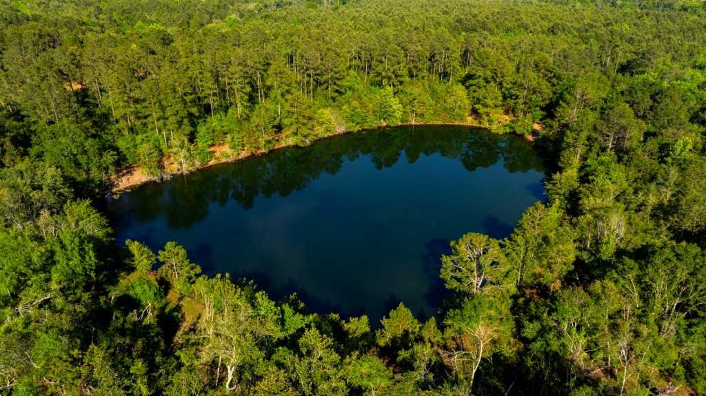 Four Ponds Retreat Photo