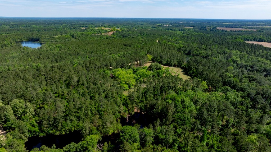 Four Ponds Retreat Photo