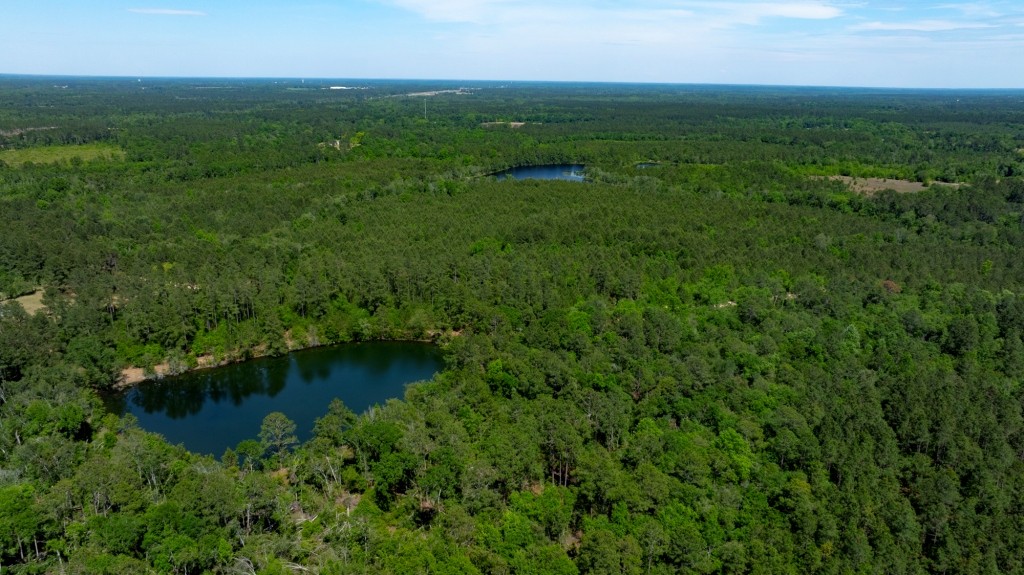 Four Ponds Retreat Photo