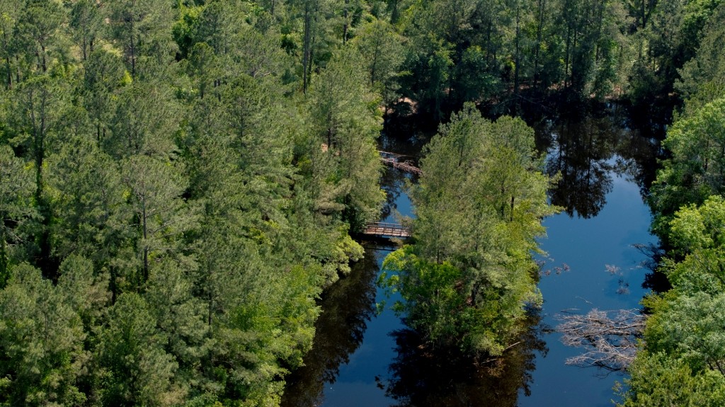 Four Ponds Retreat Photo
