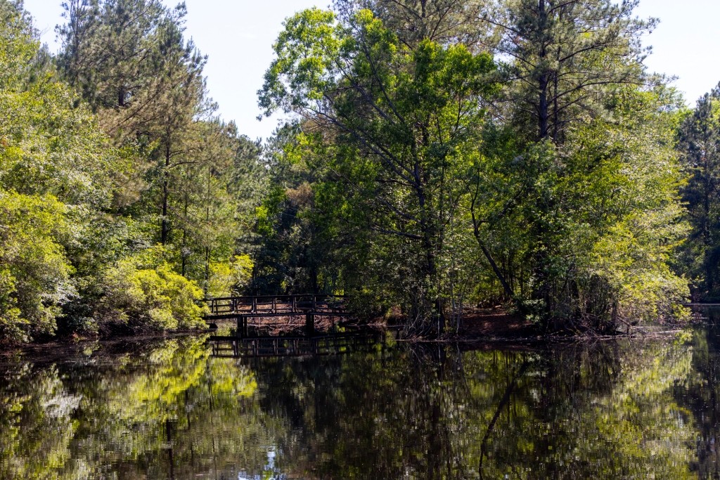 Four Ponds Retreat Photo