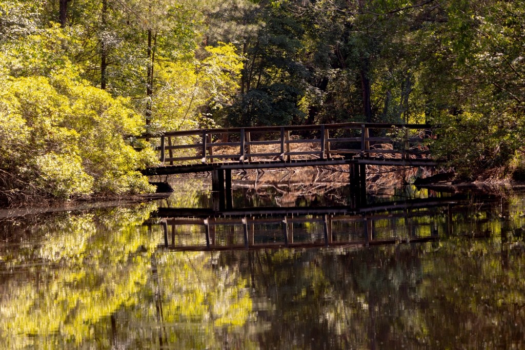 Four Ponds Retreat Photo