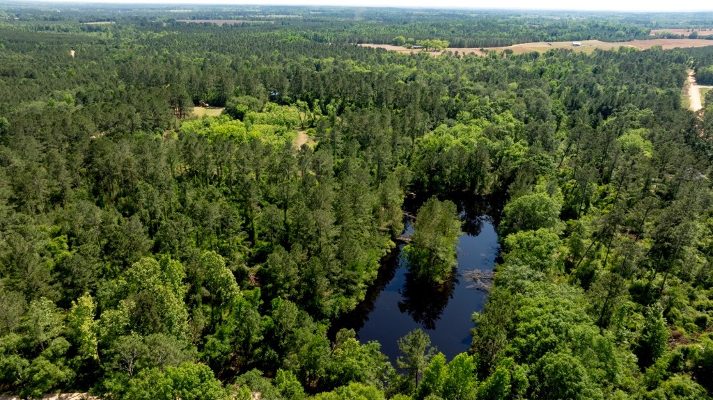 Four Ponds Retreat Photo