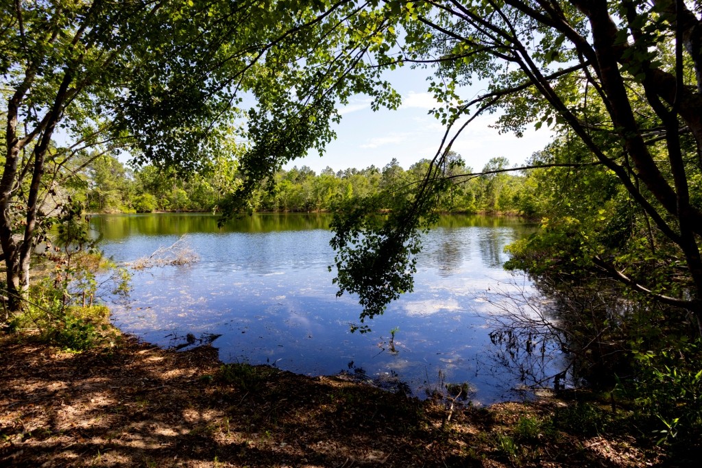 Four Ponds Retreat Photo