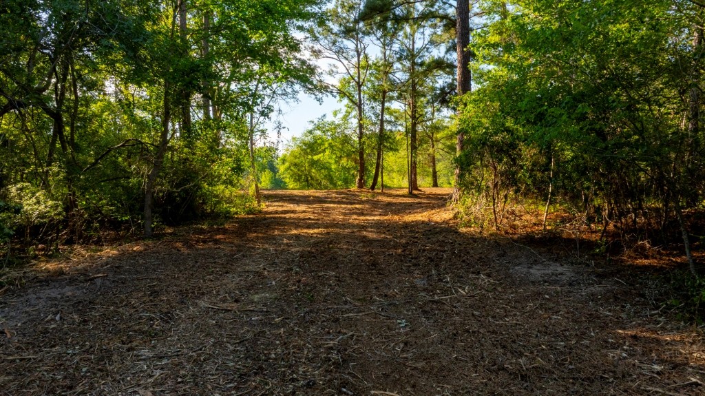 Four Ponds Retreat Photo