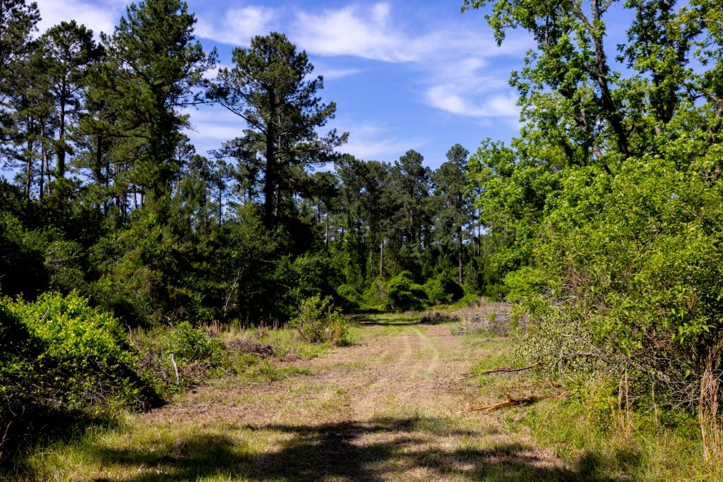 Four Ponds Retreat Photo
