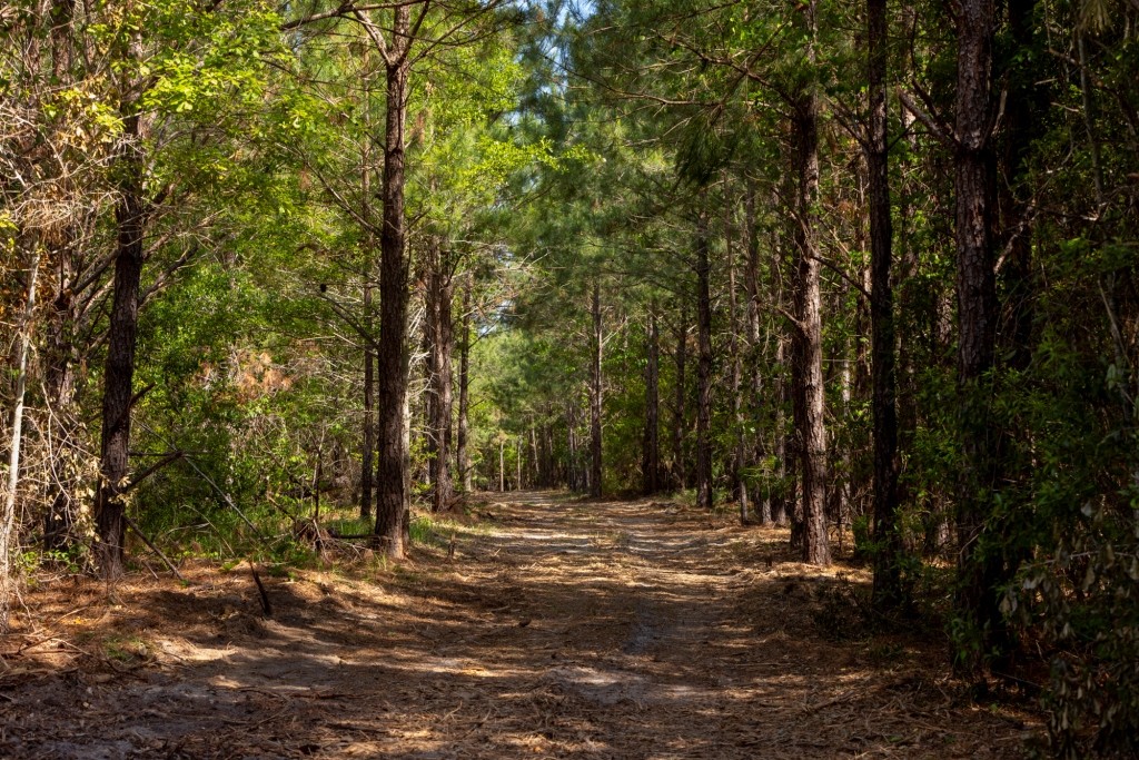 Four Ponds Retreat Photo